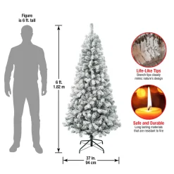 6 ft. Acacia Flocked Tree