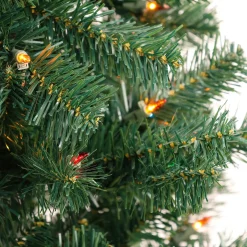 6 ft. Acacia Tree with Multicolor Lights