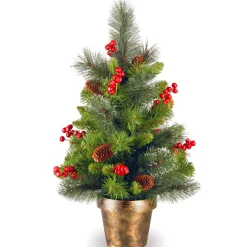 2 ft. Crestwood Spruce Tree