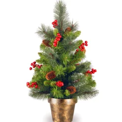 2 ft. Crestwood Spruce Tree