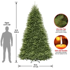10 ft. Dunhill Fir Tree