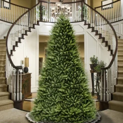 12 ft. Dunhill Fir Tree