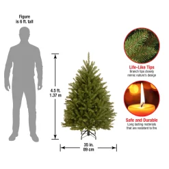 4.5 ft. Dunhill Fir Tree