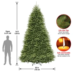 14 ft. Dunhill Fir Tree