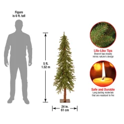 5 ft. Hickory Cedar Tree