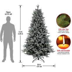 7.5 ft. Holliston Tree