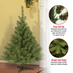 4 ft. Kincaid Spruce Tree