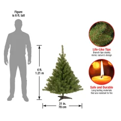 4 ft. Kincaid Spruce Tree