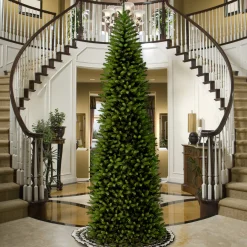 14 ft. Kingswood Fir Pencil Slim Tree