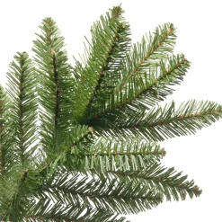 10 ft. Kingswood Fir Pencil Slim Tree