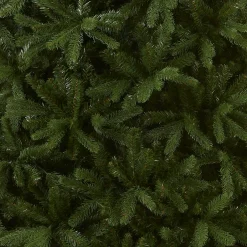 7.5 ft. Newberry Spruce Tree