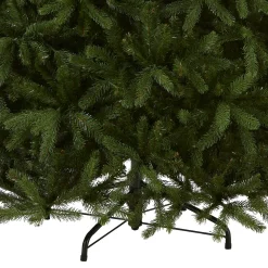 7.5 ft. Newberry Spruce Tree