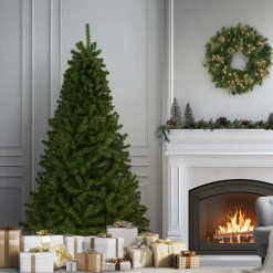 6 ft. North Valley Spruce Tree