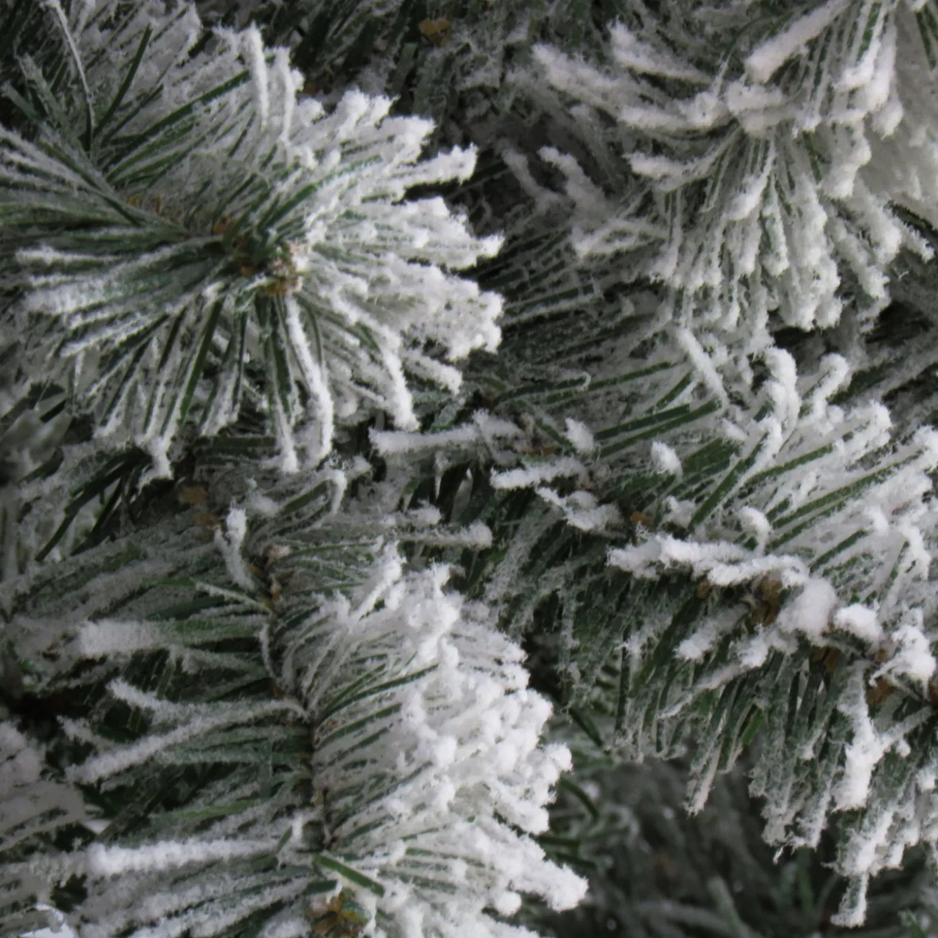7.5 ft. North Valley Spruce Tree with Snow Dusted Braches