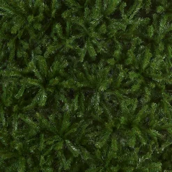 16 ft. North Valley Spruce Tree