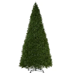 16 ft. North Valley Spruce Tree