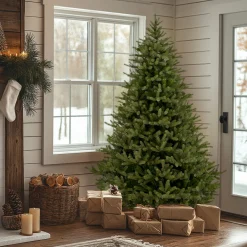 7 ft. Norway Fir Tree