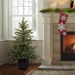 4 ft. Norwegian Spruce Entrance Tree with Clear Lights