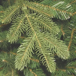 4 ft. Norwegian Spruce Entrance Tree with Clear Lights