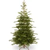 7.5 ft. Norwegian Spruce Tree