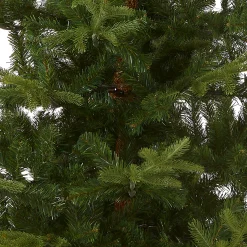 7.5 ft. Norwegian Spruce Tree