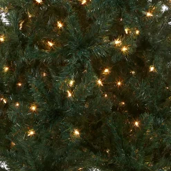 6 ft. Pre-Lit Acacia Tree with Clear Lights