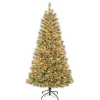 6 ft. Pre-Lit Arcadia Pine Cashmere with Clear Lights