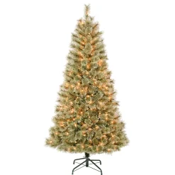 6 ft. Pre-Lit Arcadia Pine Cashmere with Clear Lights