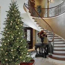 10 ft. Pre-Lit Aspen Pine Hinged Tree with Warm White LED Light