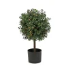 2 ft. Pre-Lit Boxwood Single Ball Topiary in Black Nursery Pot with Clear Lights