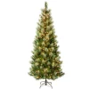 7.5 ft. Pre-Lit Charleston Pine Slim Tree with Clear Lights