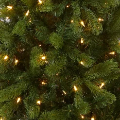 6.5 ft. Pre-Lit Downswept Douglas Fir Pencil Slim Tree with Dual Color LED Lights