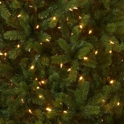7.5 ft. Pre-Lit Downswept Douglas Fir Tree with 750 Dual Color LED Lights