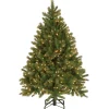 4.5 ft. Pre-Lit Downswept Douglas Fir Tree with Clear Lights