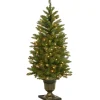 4 ft. Pre-Lit Dunhill Fir Entrance Tree with Clear Lights