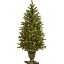 4 ft. Pre-Lit Dunhill Fir Entrance Tree with Clear Lights