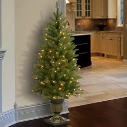 4 ft. Pre-Lit Dunhill Fir Entrance Tree with Clear Lights