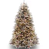 6.5 ft. Pre-Lit Dunhill Fir Snowy Tree with Clear Lights