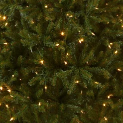 7.5 ft. Pre-Lit Dunhill Fir Tree with PowerConnect Dual Color LED Lights