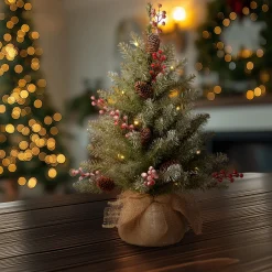 2 ft. Pre-Lit Dunhill Fir Tree with LED Lights