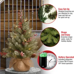 2 ft. Pre-Lit Dunhill Fir Tree with LED Lights