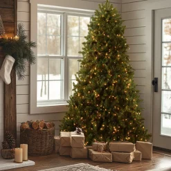 7 ft. Pre-Lit Dunhill Fir Tree with Clear Lights