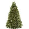 9 ft. Pre-Lit Dunhill Fir Tree with PowerConnect Clear Lights