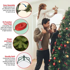 7.5 ft. Pre-Lit Dunhill Fir Tree with Dual Color LED Lights