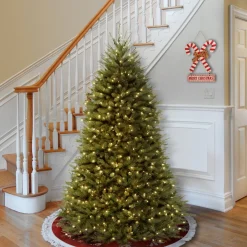 6 ft. Pre-Lit Dunhill Fir Tree with Clear Lights