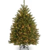4 ft. Pre-Lit Dunhill Fir Tree with Clear Lights