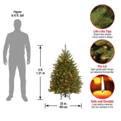 4 ft. Pre-Lit Dunhill Fir Tree with Clear Lights
