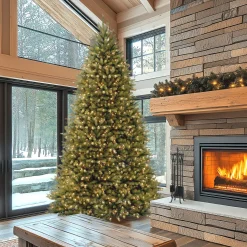 10 ft. Pre-Lit Dunhill Fir Tree with Clear Lights