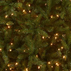 10 ft. Pre-Lit Dunhill Fir Tree with Clear Lights