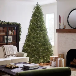 10 ft. Pre-Lit Dunhill Fir Tree with Clear Lights